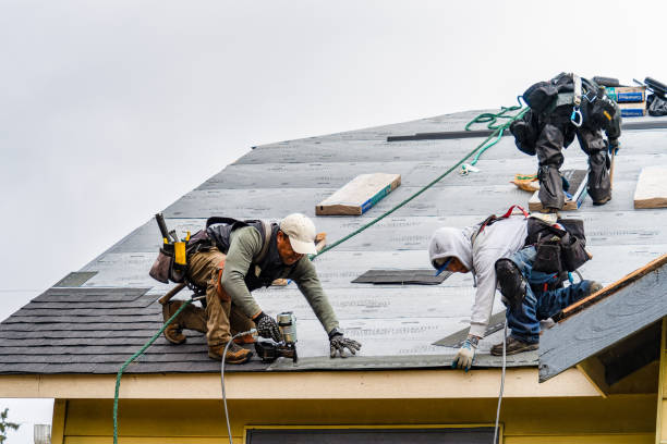 Professional Gutter Installation technician working in Severn, VA